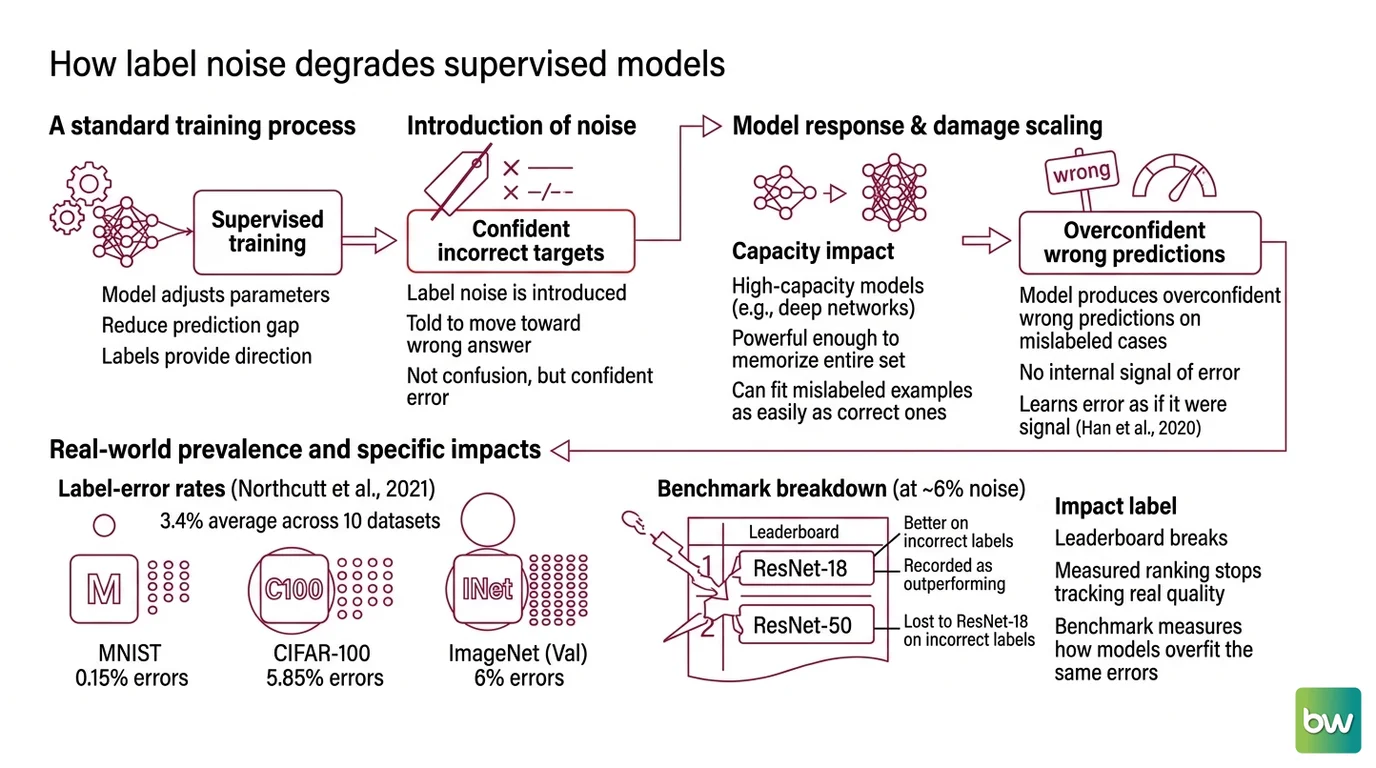 Two-panel diagram showing label noise corrupting a model's gradient direction on the left, and structured annotator disagreement producing legitimate label variation on the right