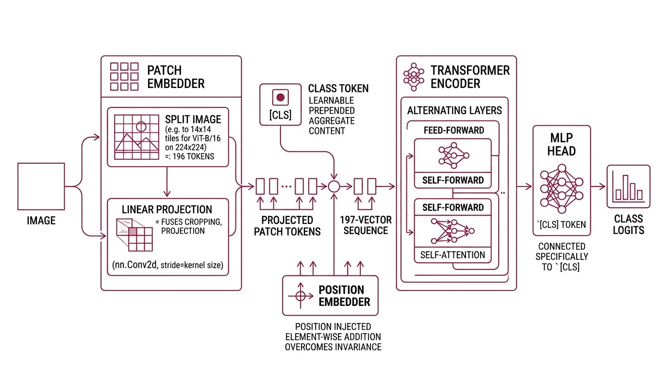 Image split into square patches, each projected into a token and combined with a position embedding before flowing with a class token into a Transformer encoder.