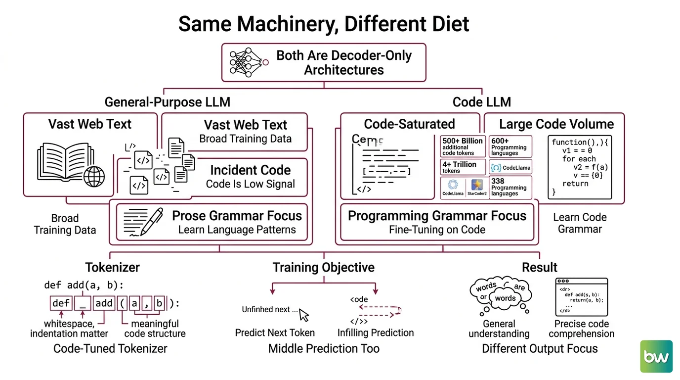 The five components of a code LLM and how training corpus, tokenizer, and Fill-in-the-Middle objective differ from a general LLM