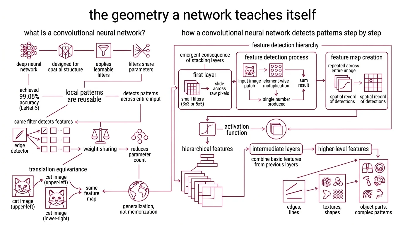 Diagram showing the CNN layer hierarchy from input image through convolutional filters, activation functions, and pooling layers, building from simple edge detection to complex object recognition