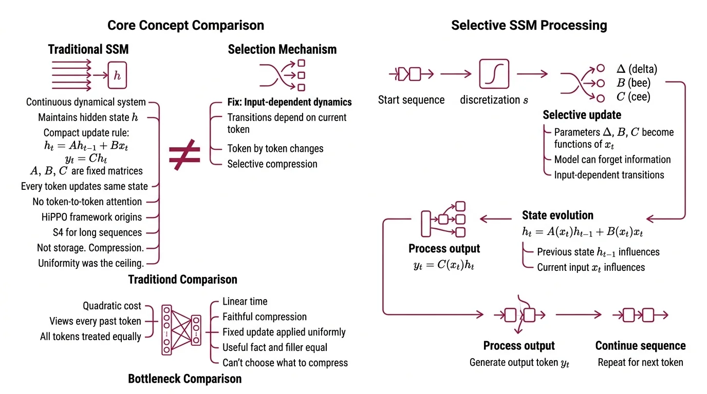 Selective state space recurrence updating a fixed-size hidden state token by token versus self-attention computing all pairwise interactions across a sequence