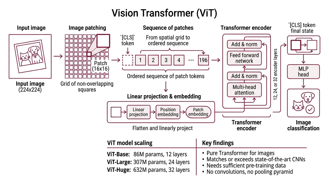 Diagram showing a 224-pixel image being split into a 14-by-14 grid of 16-pixel patches, linearized into a token sequence with a CLS token, and fed through Transformer encoder blocks to produce a classification output