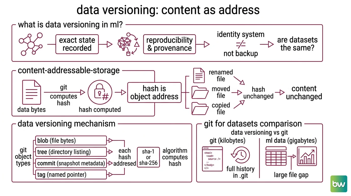 How a dataset's content hash becomes a pointer file committed to Git while the raw bytes live in a content-addressed cache or remote store