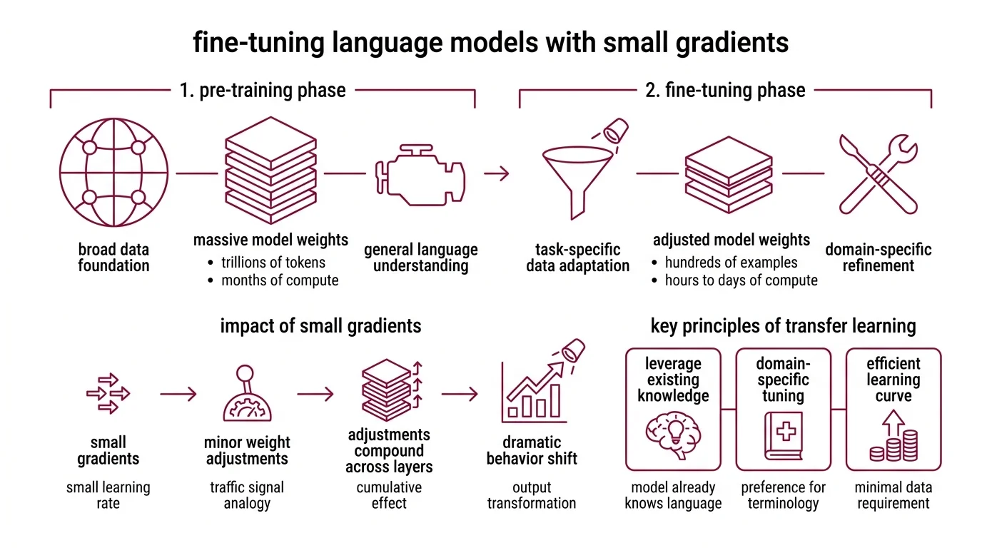 Diagram showing the gradient update pathway from pre-trained weights through loss computation and backpropagation to fine-tuned weights, with LoRA low-rank decomposition highlighted