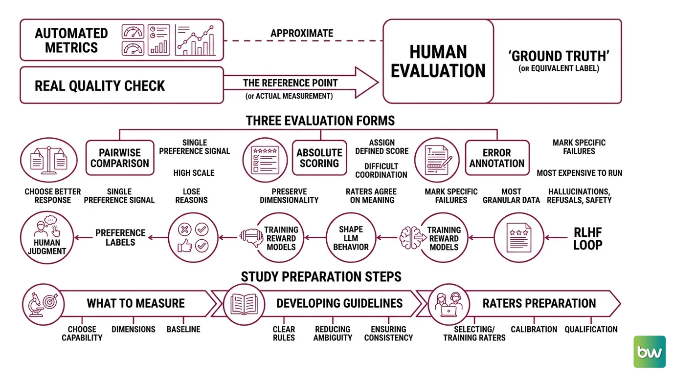 Flowchart of a human evaluation study showing four structural components: rubric design with anchor examples, rater pool selection and blinding, inter-annotator agreement calculation using Cohen's Kappa, and gold standard quality control